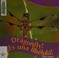Go to record It's a dragonfly! = Es una libélula!